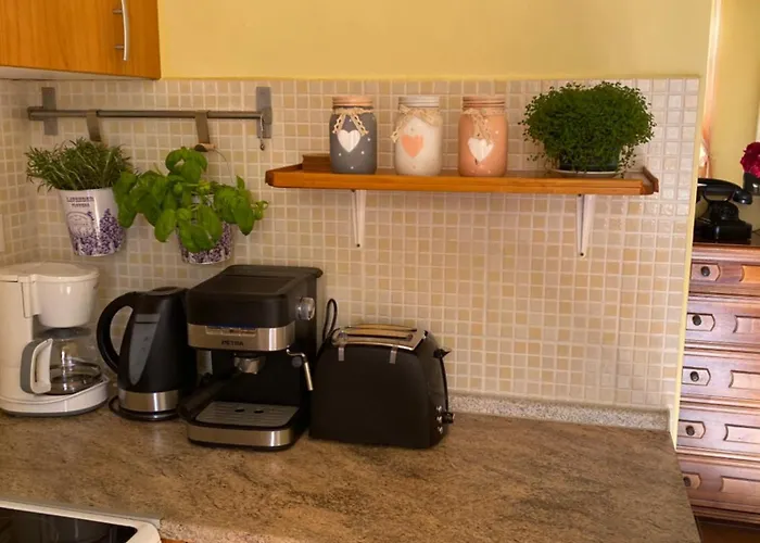 公寓 马里奥公寓 *